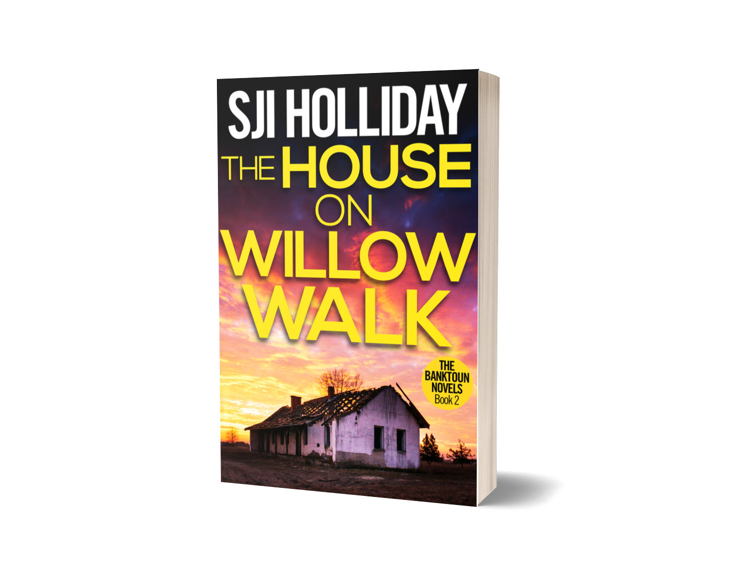 The House on Willow Walk