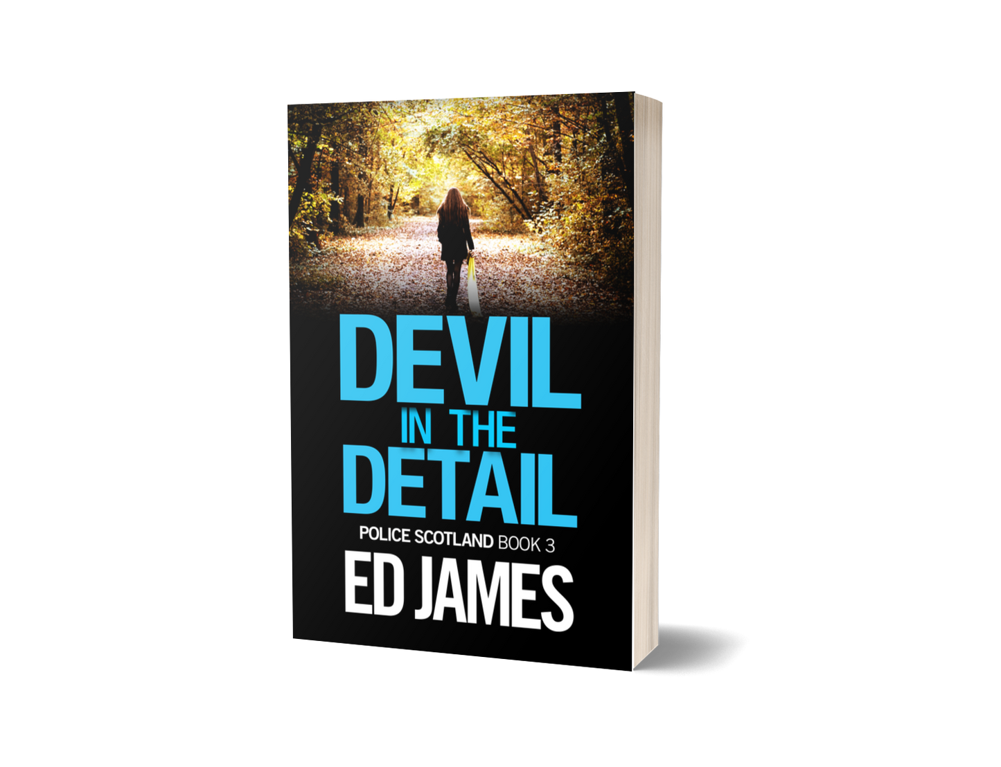 Devil in the Detail (Police Scotland 3, Paperback)