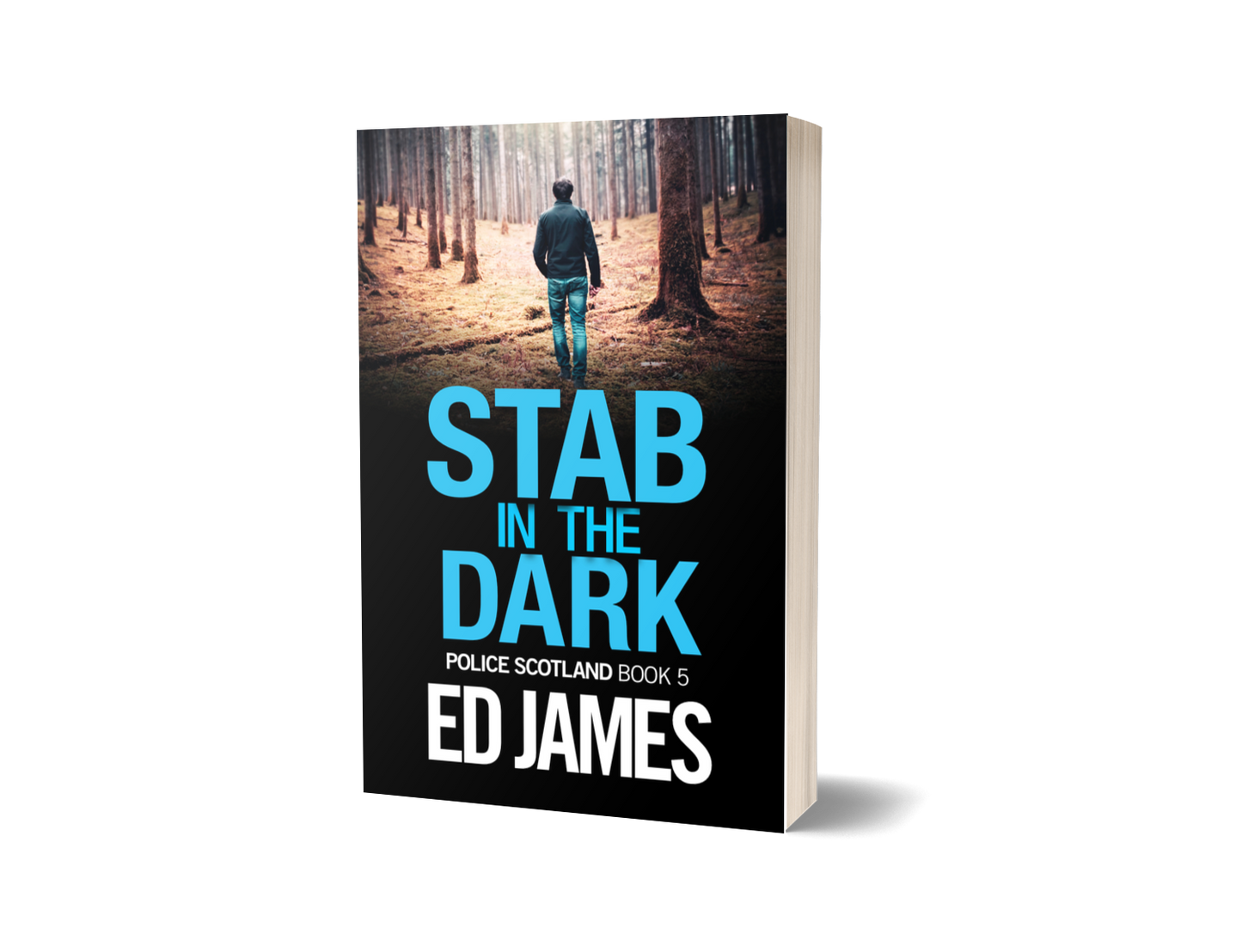 Stab in the Dark (Police Scotland 5, Paperback)