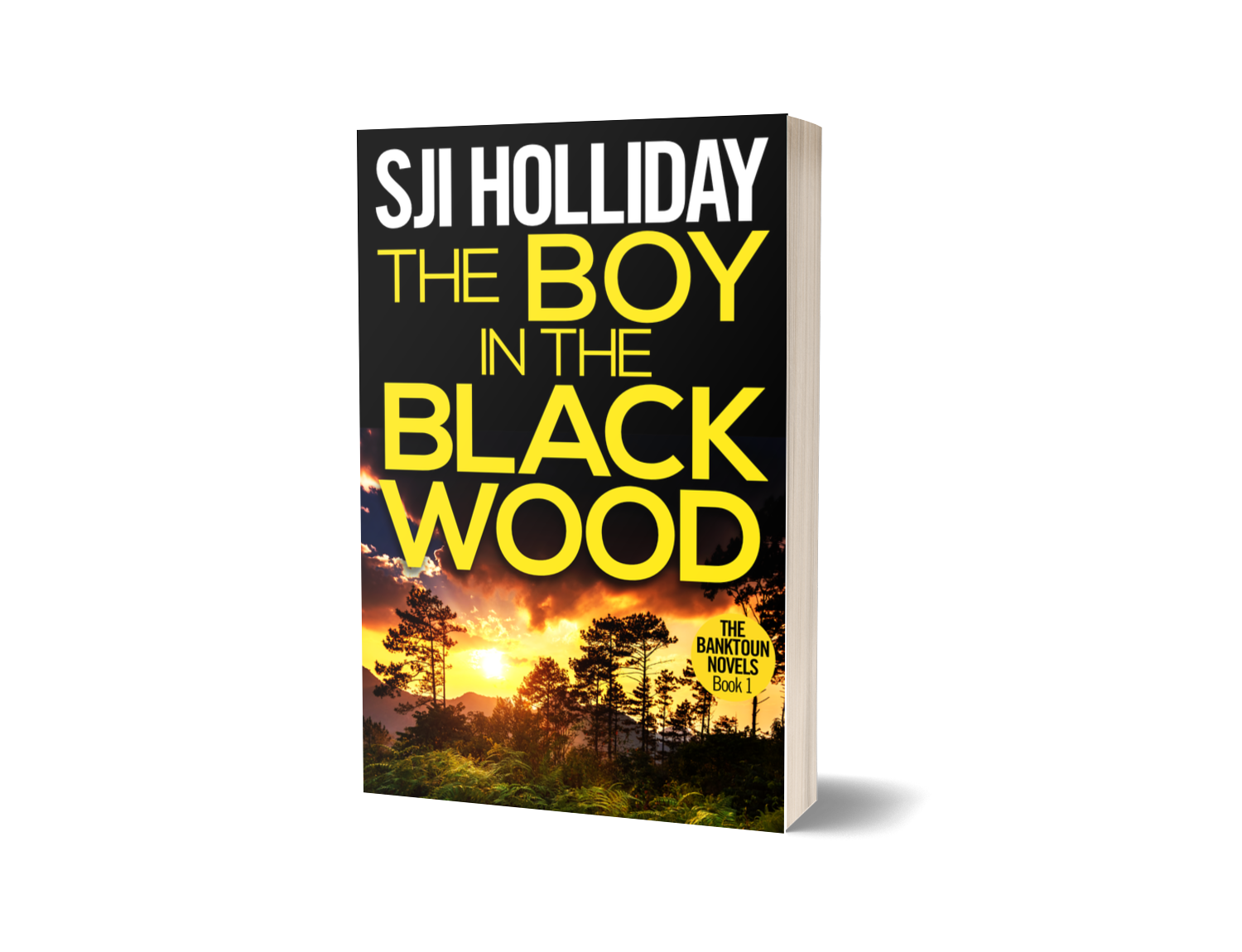 The Boy in the Black Wood