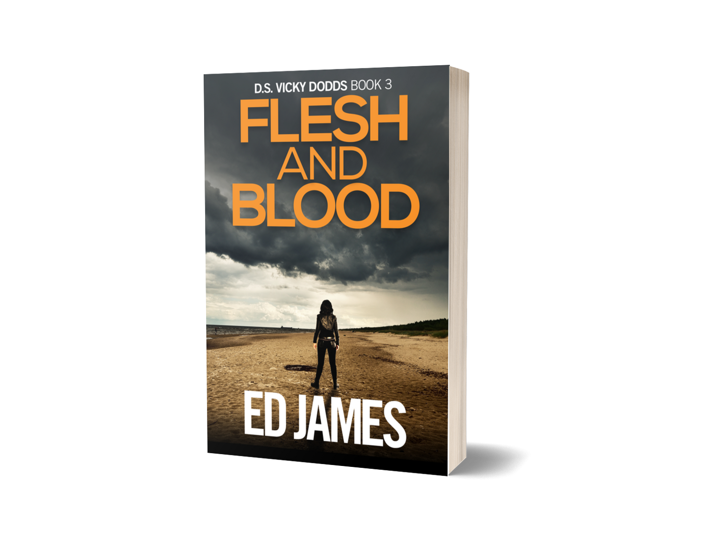 Flesh & Blood (DS Vicky Dodds 3, Paperback)