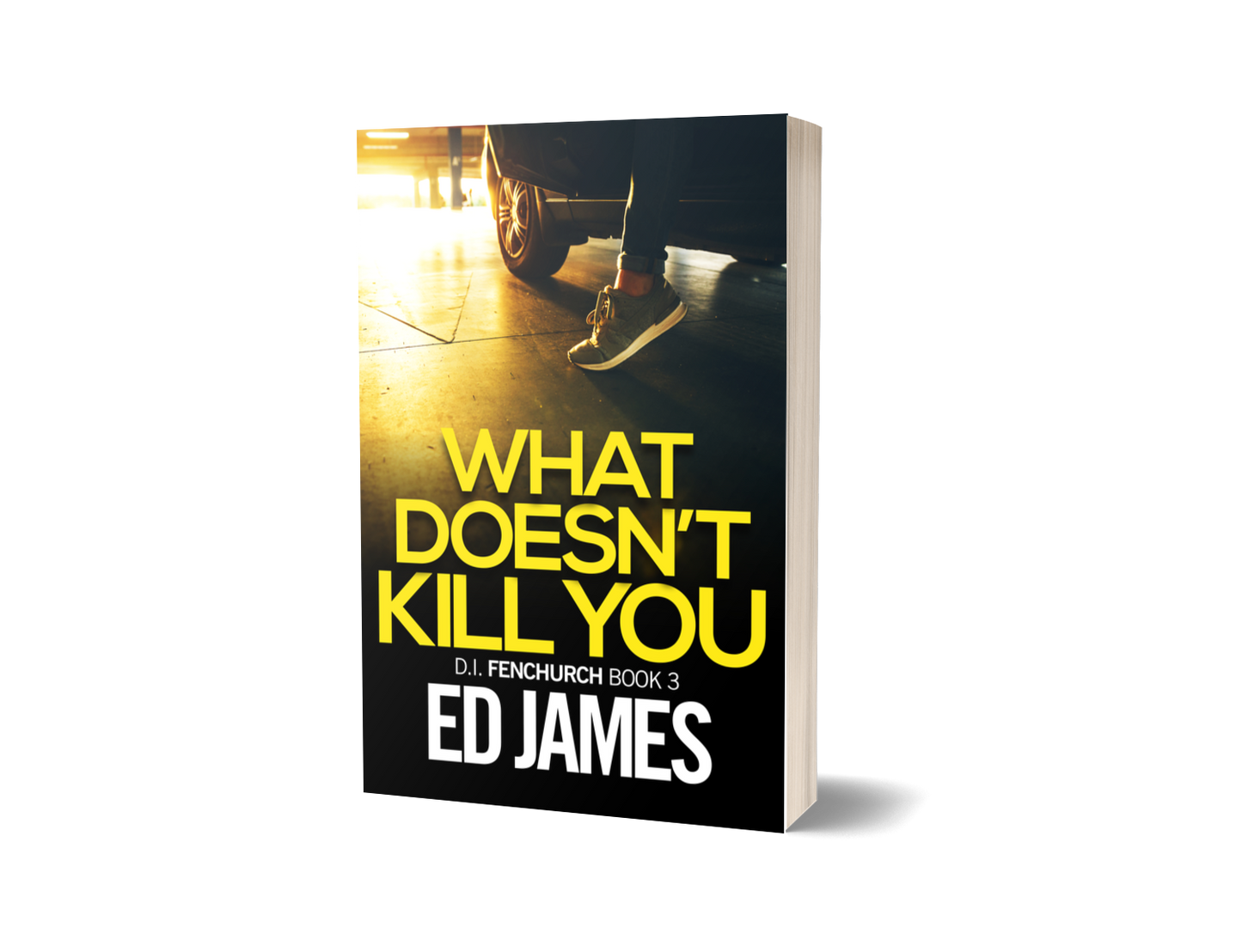 What Doesn't Kill You (DI Fenchurch 3, Paperback)